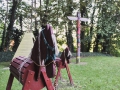 wk_tg-obernkirchen_22